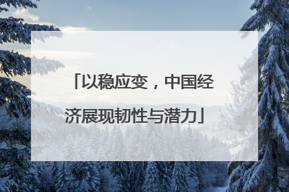 以稳应变,中国经济展现韧性与潜力