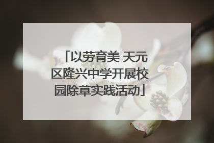 以劳育美 天元区隆兴中学开展校园除草实践活动