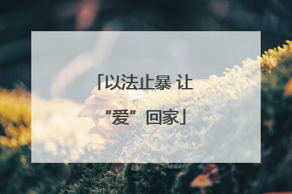 以法止暴 让“爱”回家