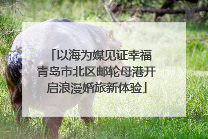 以海为媒见证幸福 青岛市北区邮轮母港开启浪漫婚旅新体验
