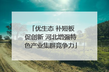 优生态 补短板 促创新 河北增强特色产业集群竞争力