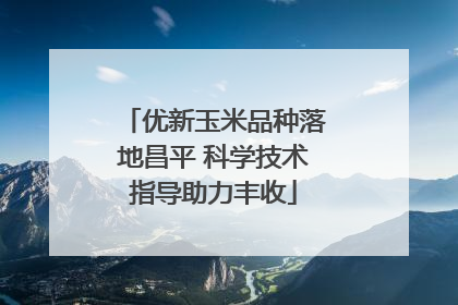 优新玉米品种落地昌平 科学技术指导助力丰收