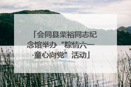 会同县粟裕同志纪念馆举办“粽情六一·童心向党”活动