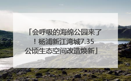 会呼吸的海绵公园来了！杨浦新江湾城7.35公顷生态空间改造焕新