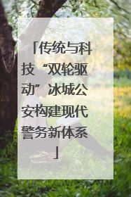 传统与科技“双轮驱动”冰城公安构建现代警务新体系