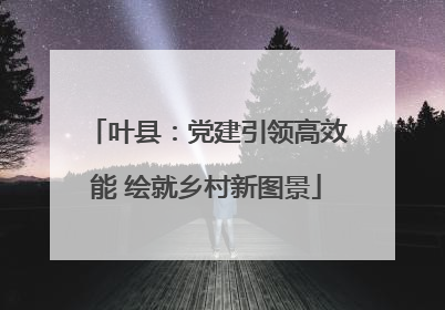 叶县：党建引领高效能 绘就乡村新图景