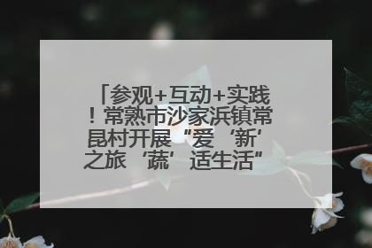 参观+互动+实践！常熟市沙家浜镇常昆村开展“爱‘新’之旅‘蔬’适生活”参观学习活动