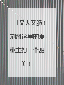 又大又脆！荆州这里的夏桃主打一个甜美！