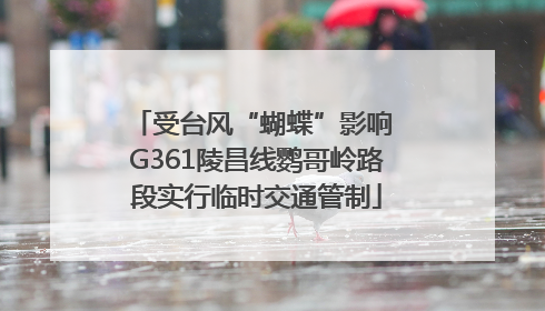 受台风“蝴蝶”影响 G361陵昌线鹦哥岭路段实行临时交通管制