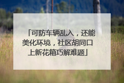 可防车辆乱入，还能美化环境，社区胡同口上新花箱巧解难题