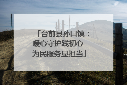 台前县孙口镇：暖心守护践初心 为民服务显担当