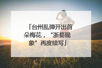 台州乱弹开出首朵梅花，“浙婺现象”再度续写
