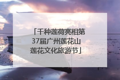 千种莲荷亮相第37届广州莲花山莲花文化旅游节