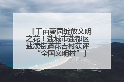 千亩葵园绽放文明之花！盐城市盐都区盐渎街道花吉村获评“全国文明村”