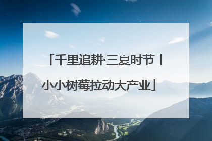 千里追耕·三夏时节丨小小树莓拉动大产业
