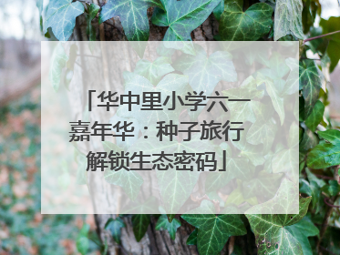 华中里小学六一嘉年华：种子旅行解锁生态密码
