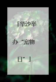 华沙举办“宠物日”