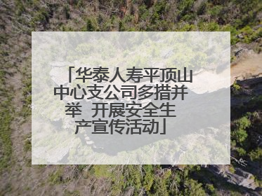 华泰人寿平顶山中心支公司多措并举  开展安全生产宣传活动