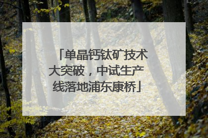 单晶钙钛矿技术大突破，中试生产线落地浦东康桥