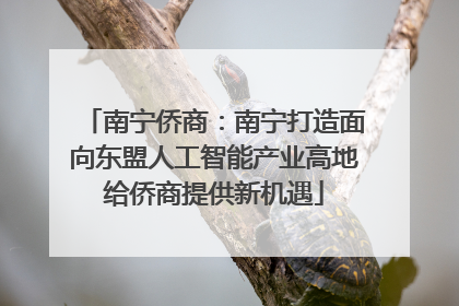 南宁侨商：南宁打造面向东盟人工智能产业高地给侨商提供新机遇