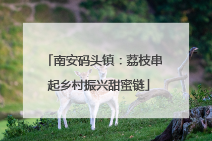 南安码头镇：荔枝串起乡村振兴甜蜜链