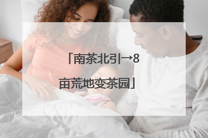 南茶北引→8亩荒地变茶园