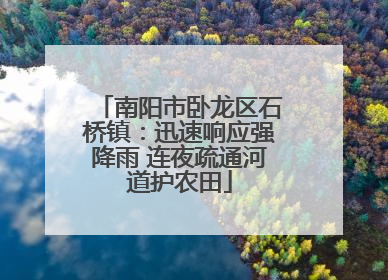 南阳市卧龙区石桥镇：迅速响应强降雨 连夜疏通河道护农田