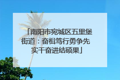 南阳市宛城区五里堡街道：奋楫笃行勇争先 实干奋进结硕果