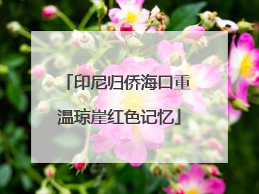 印尼归侨海口重温琼崖红色记忆