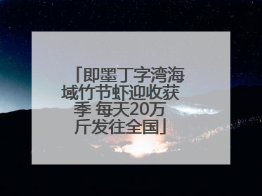 即墨丁字湾海域竹节虾迎收获季 每天20万斤发往全国