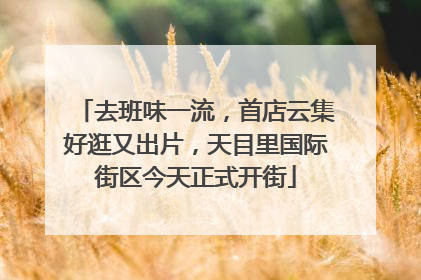 去班味一流，首店云集好逛又出片，天目里国际街区今天正式开街