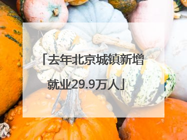 去年北京城镇新增就业29.9万人