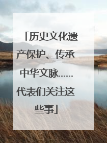 历史文化遗产保护、传承中华文脉……代表们关注这些事