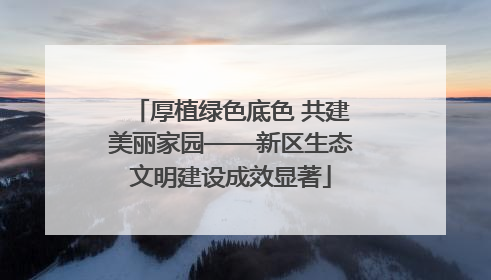 厚植绿色底色 共建美丽家园——新区生态文明建设成效显著