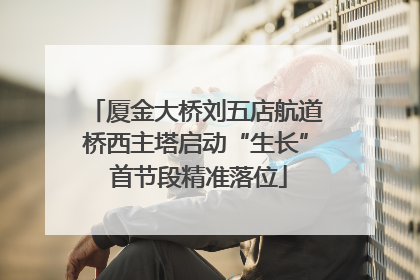厦金大桥刘五店航道桥西主塔启动“生长” 首节段精准落位