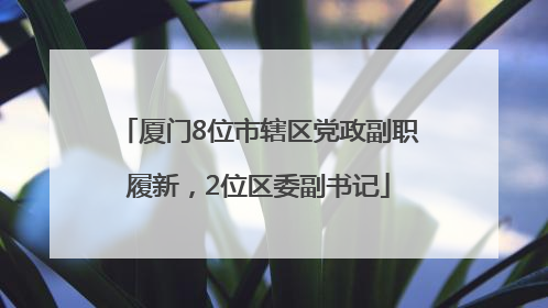 厦门8位市辖区党政副职履新，2位区委副书记