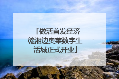 做活首发经济 赣湘边奥莱数字生活城正式开业