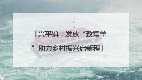 兴平镇：发放“致富羊”助力乡村振兴启新程