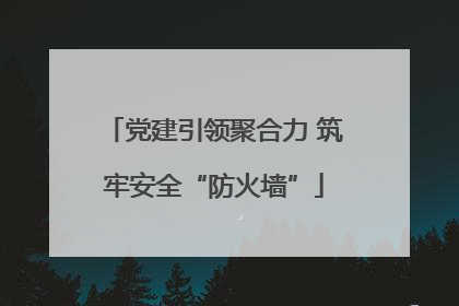 党建引领聚合力 筑牢安全“防火墙”