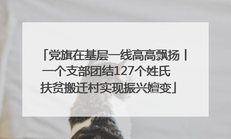 党旗在基层一线高高飘扬丨一个支部团结127个姓氏 扶贫搬迁村实现振兴嬗变