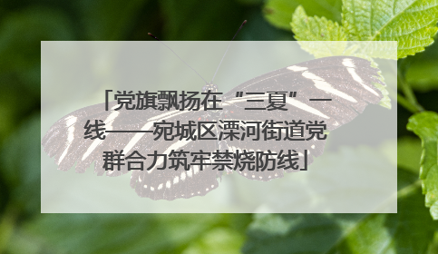 党旗飘扬在“三夏”一线——宛城区溧河街道党群合力筑牢禁烧防线