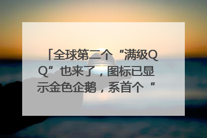 全球第二个“满级QQ”也来了，图标已显示金色企鹅，系首个“满级QQ”的小号