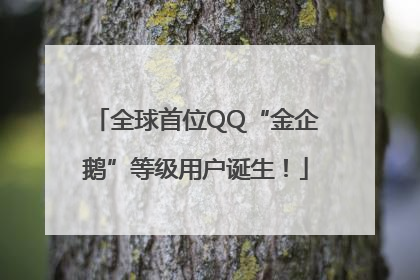 全球首位QQ“金企鹅”等级用户诞生！