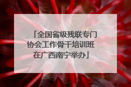 全国省级残联专门协会工作骨干培训班在广西南宁举办