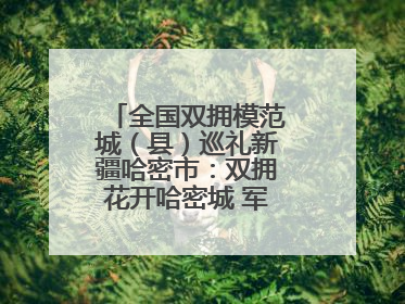 全国双拥模范城（县）巡礼新疆哈密市：双拥花开哈密城 军民同心谱新篇