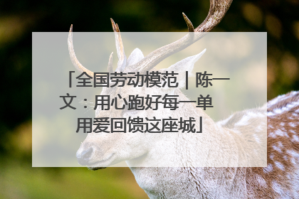 全国劳动模范｜陈一文：用心跑好每一单 用爱回馈这座城