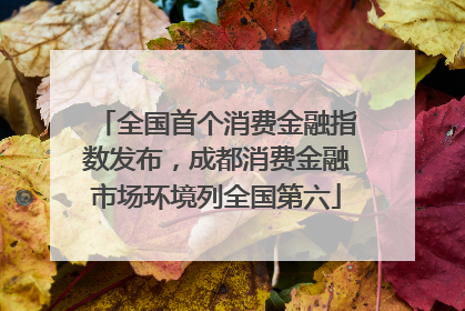 全国首个消费金融指数发布，成都消费金融市场环境列全国第六