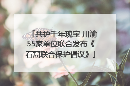 共护千年瑰宝 川渝55家单位联合发布《石窟联合保护倡议》