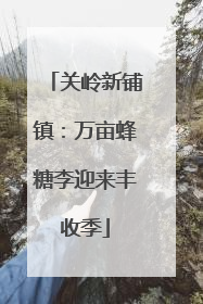 关岭新铺镇：万亩蜂糖李迎来丰收季