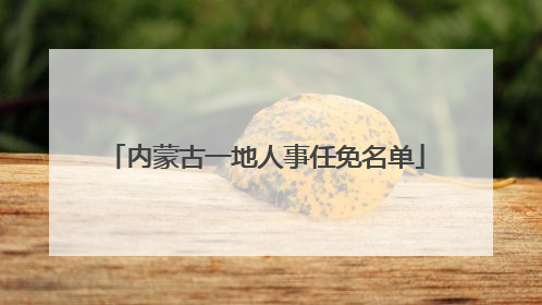 内蒙古一地人事任免名单